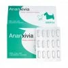 ISOVIA Ananxivia Chat/Petit Chien