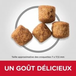 HILL'S Pet Nutrition Canine Adult Light Large Poulet Value Pack 5 HILL'S Pet Nutrition Canine Adult Light Large Poulet Value Pack -nourriture pour chien boutique canine adult light large poulet 2