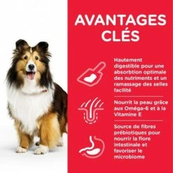 HILL'S Pet Nutrition Canine Adult Medium Sensitive Stomach & Skin Poulet 4 HILL'S Pet Nutrition Canine Adult Medium Sensitive Stomach & Skin Poulet -nourriture pour chien boutique canine adult medium sensitive stomachskin poulet 1