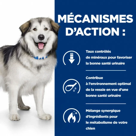 HILL'S Pet Nutrition C/d Urinary Multicare+Metabolic Croquettes Pour Chien 5 HILL'S Pet Nutrition C/d Urinary Multicare+Metabolic Croquettes Pour Chien – Image 5