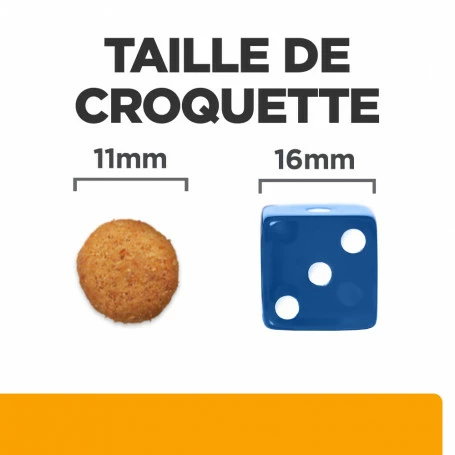HILL'S Pet Nutrition C/d Urinary Multicare+Metabolic Croquettes Pour Chien 6 HILL'S Pet Nutrition C/d Urinary Multicare+Metabolic Croquettes Pour Chien – Image 6