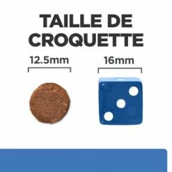 HILL'S Pet Nutrition Derm Complete Croquettes Pour Chien -nourriture pour chien boutique canine derm complete 5
