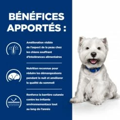 HILL'S Pet Nutrition Derm Complete Mini Croquettes Pour Petit Chien 10 HILL'S Pet Nutrition Derm Complete Mini Croquettes Pour Petit Chien -nourriture pour chien boutique canine derm complete mini 2