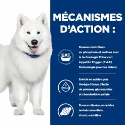 HILL'S Pet Nutrition K/D J/D Kidney+Mobility Croquettes Pour Chien -nourriture pour chien boutique canine k d mobility poulet 4