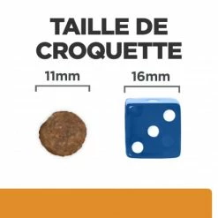 HILL'S Pet Nutrition K/D J/D Kidney+Mobility Croquettes Pour Chien -nourriture pour chien boutique canine k d mobility poulet 5