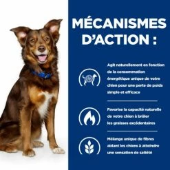 HILL'S Pet Nutrition Metabolic Croquettes Pour Chien Au Poulet -nourriture pour chien boutique canine metabolic 4