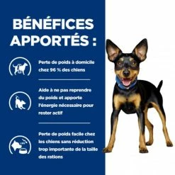 HILL'S Pet Nutrition Metabolic Mini Croquettes Pour Petit Chien Au Poulet 12 HILL'S Pet Nutrition Metabolic Mini Croquettes Pour Petit Chien Au Poulet -nourriture pour chien boutique canine metabolic mini 3