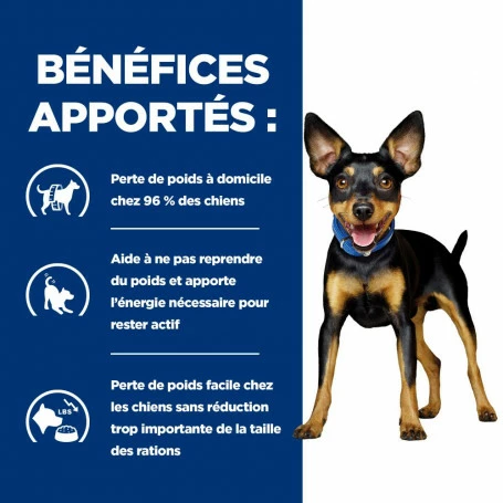 HILL'S Pet Nutrition Metabolic Mini Croquettes Pour Petit Chien Au Poulet 4 HILL'S Pet Nutrition Metabolic Mini Croquettes Pour Petit Chien Au Poulet – Image 4