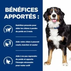 HILL'S Pet Nutrition J/D Metabolic+Mobility Croquettes Pour Chien Au Poulet -nourriture pour chien boutique canine metabolicmobility 3