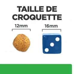 HILL'S Pet Nutrition R/D Weight Loss Croquettes Pour Chien Au Poulet -nourriture pour chien boutique canine r d poulet 4