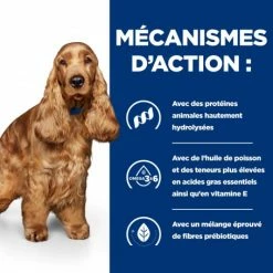 HILL'S Pet Nutrition Z/d Food Sensitivities Boîte Pour Chien 12 HILL'S Pet Nutrition Z/d Food Sensitivities Boîte Pour Chien -nourriture pour chien boutique canine z d food sensitivities activ biome boite 4