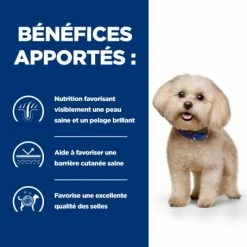 HILL'S Pet Nutrition Z/D Food Sensitivities Mini Croquettes Pour Petit Chien -nourriture pour chien boutique canine z d food sensitivities activ biome mini 2