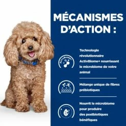HILL'S Pet Nutrition Gastrointestinal Biome Mini Croquettes Pour Petit Chien Au Poulet 12 HILL'S Pet Nutrition Gastrointestinal Biome Mini Croquettes Pour Petit Chien Au Poulet -nourriture pour chien boutique chien gastrointestinal biome mini poulet 4