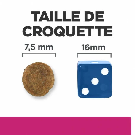 HILL'S Pet Nutrition Gastrointestinal Biome Mini Croquettes Pour Petit Chien Au Poulet 6 HILL'S Pet Nutrition Gastrointestinal Biome Mini Croquettes Pour Petit Chien Au Poulet – Image 6