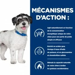 HILL'S Pet Nutrition J/d Metabolic+Mobility Mini Croquettes Pour Petit Chien Au Poulet 10 HILL'S Pet Nutrition J/d Metabolic+Mobility Mini Croquettes Pour Petit Chien Au Poulet -nourriture pour chien boutique chien j d metabolicmobility mini poulet 3