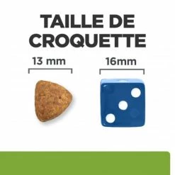 HILL'S Pet Nutrition Metabolic Croquettes Pour Chien à L'Agneau & Riz -nourriture pour chien boutique chien metabolic agneau riz 5