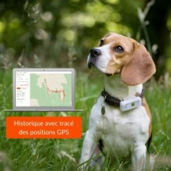 Materiel Collier GPS Weenect Dogs 2 Pour Chien 17 Materiel Collier GPS Weenect Dogs 2 Pour Chien -nourriture pour chien boutique collier gps weenect dogs 2 pour chien 6