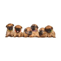 Materiel Collier Identification Chiot