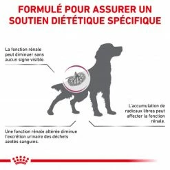 ROYAL CANIN Dog Early Renal -nourriture pour chien boutique dog early renal 1