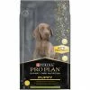 PURINA PRO PLAN PRO PLAN CHIEN EXPERT CARE NUTRITION Puppy à L'Agneau