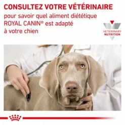 ROYAL CANIN Dog Gastro Intestinal Moderate Calorie -nourriture pour chien boutique dog gastro intestinal moderate calorie 5