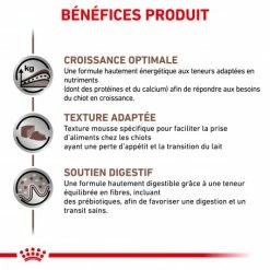 ROYAL CANIN Dog Gastro Intestinal Puppy Boîte -nourriture pour chien boutique dog gastro intestinal puppy boite 1