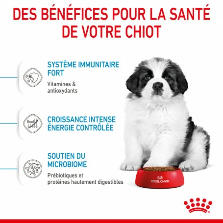 ROYAL CANIN Dog Puppy Giant 5 ROYAL CANIN Dog Puppy Giant – Image 5