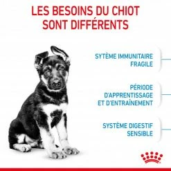 ROYAL CANIN Dog Puppy Maxi -nourriture pour chien boutique dog puppy maxi 3