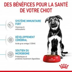 ROYAL CANIN Dog Puppy Maxi -nourriture pour chien boutique dog puppy maxi 4