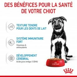 ROYAL CANIN Dog Puppy Maxi Sachet Repas -nourriture pour chien boutique dog puppy maxi sachet repas 4
