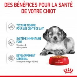 ROYAL CANIN Dog Puppy Medium Sachet Repas -nourriture pour chien boutique dog puppy medium sachet repas 4
