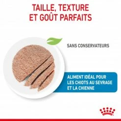 ROYAL CANIN Dog Starter Mother & Babydog Mousse Boîte -nourriture pour chien boutique dog starter mother babycat mousse boite 2