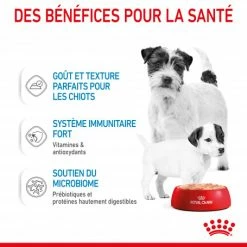 ROYAL CANIN Dog Starter Mother & Babydog Mousse Boîte -nourriture pour chien boutique dog starter mother babycat mousse boite 3