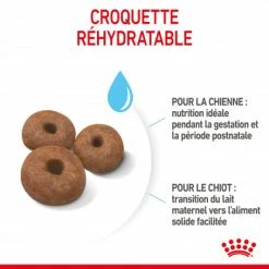 ROYAL CANIN Dog Starter Mother & Babydog Giant -nourriture pour chien boutique dog starter mother babydog giant 2