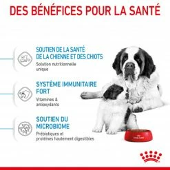 ROYAL CANIN Dog Starter Mother & Babydog Giant -nourriture pour chien boutique dog starter mother babydog giant 4