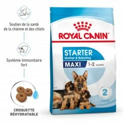 ROYAL CANIN Dog Starter Mother & Babydog Maxi 9 ROYAL CANIN Dog Starter Mother & Babydog Maxi -nourriture pour chien boutique dog starter mother babydog maxi 1