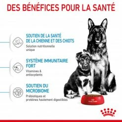 ROYAL CANIN Dog Starter Mother & Babydog Maxi 12 ROYAL CANIN Dog Starter Mother & Babydog Maxi -nourriture pour chien boutique dog starter mother babydog maxi 4