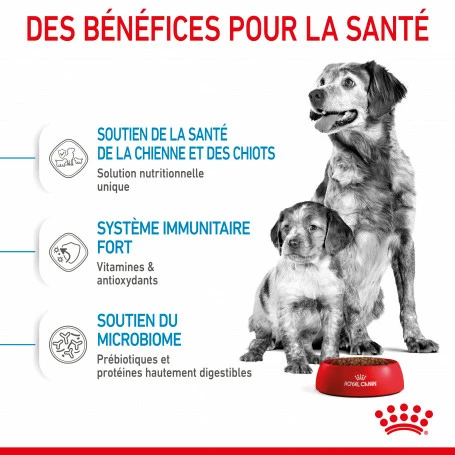 ROYAL CANIN Dog Starter Mother & Babydog Medium 5 ROYAL CANIN Dog Starter Mother & Babydog Medium – Image 5