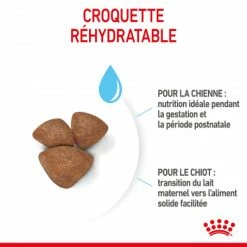 ROYAL CANIN Dog Starter Mother & Babydog Mini -nourriture pour chien boutique dog starter mother babydog mini 2