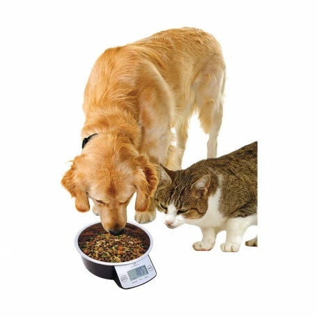 Materiel Gamelle Intelligente Pet Bowl 1 Materiel Gamelle Intelligente Pet Bowl