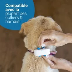 Materiel GPS Tractive Dog 4 Pour Chien -nourriture pour chien boutique gps tractive dog 4 pour chien 5