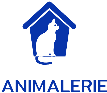 nourriture pour chien boutique