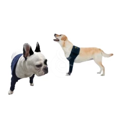 Materiel Manche Antérieure Double Pet Shirt Pour Chien - 3XS - Lg : 11 Cm - Tour De Poitrail : 27 - 33 Cm (Bleu) 10 Materiel Manche Antérieure Double Pet Shirt Pour Chien - 3XS - Lg : 11 Cm - Tour De Poitrail : 27 - 33 Cm (Bleu) -nourriture pour chien boutique manche anterieure double pet shirt pour chien 3xs lg 11 cm tour de poitrail 27 33 cm bleu 2