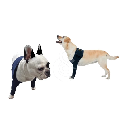 Materiel Manche Antérieure Double Pet Shirt Pour Chien - 3XS - Lg : 11 Cm - Tour De Poitrail : 27 - 33 Cm (Bleu) 8 Materiel Manche Antérieure Double Pet Shirt Pour Chien - 3XS - Lg : 11 Cm - Tour De Poitrail : 27 - 33 Cm (Bleu) – Image 8