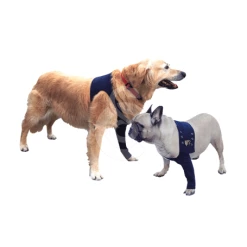 Materiel Manche Antérieure Pet Shirt Pour Chien - 2XS - Lg : 12 Cm - Tour De Poitrail : 30 à 43 Cm 10 Materiel Manche Antérieure Pet Shirt Pour Chien - 2XS - Lg : 12 Cm - Tour De Poitrail : 30 à 43 Cm -nourriture pour chien boutique manche anterieure pet shirt pour chien 2xs lg 12 cm tour de poitrail 30 a 43 cm 2