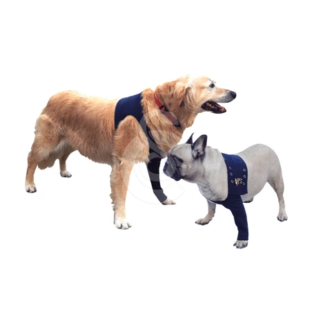 Materiel Manche Antérieure Pet Shirt Pour Chien - 2XS - Lg : 12 Cm - Tour De Poitrail : 30 à 43 Cm 8 Materiel Manche Antérieure Pet Shirt Pour Chien - 2XS - Lg : 12 Cm - Tour De Poitrail : 30 à 43 Cm – Image 8