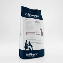 Preference Préférence Chien Calme