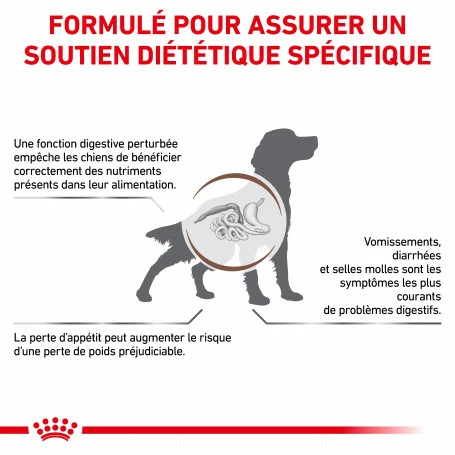 ROYAL CANIN Dog Gastro Intestinal 2 ROYAL CANIN Dog Gastro Intestinal – Image 2