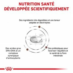 ROYAL CANIN Dog Gastro Intestinal 10 ROYAL CANIN Dog Gastro Intestinal -nourriture pour chien boutique royal canin dog gastro intestinal 2