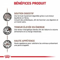 ROYAL CANIN Dog Gastro Intestinal 11 ROYAL CANIN Dog Gastro Intestinal -nourriture pour chien boutique royal canin dog gastro intestinal 3